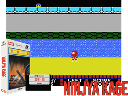 Ninja Kage